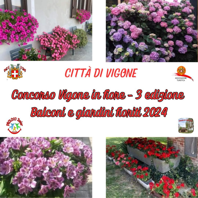 Vigone's got talent