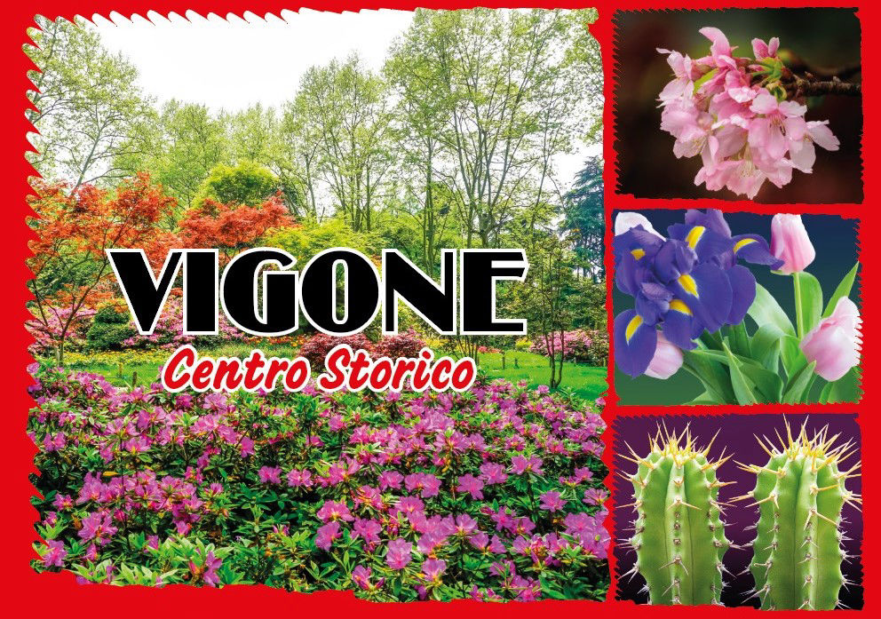 Vigoflor