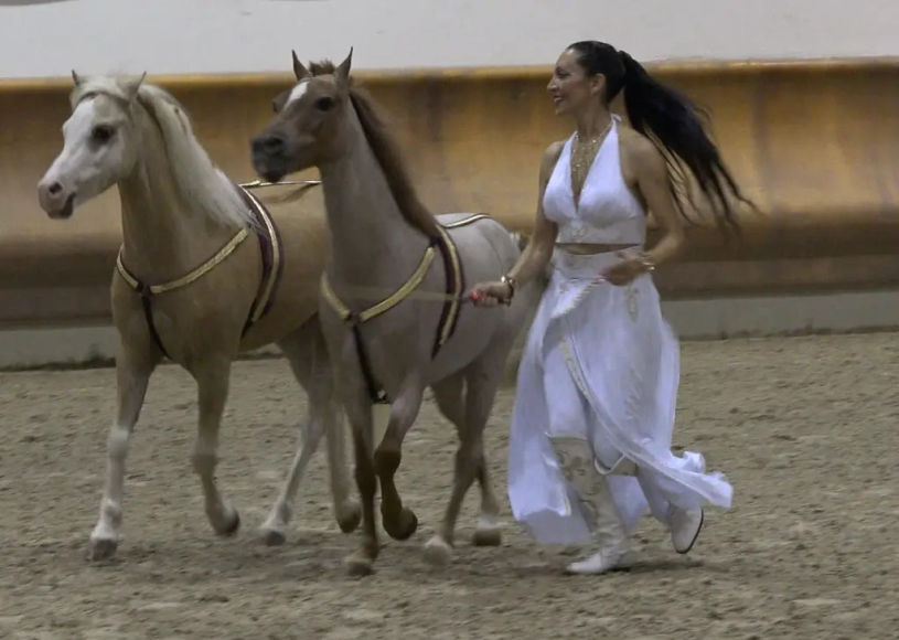 laura magic horse show