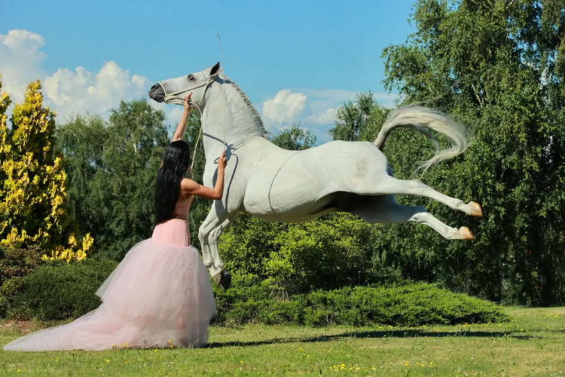 laura magic horse show