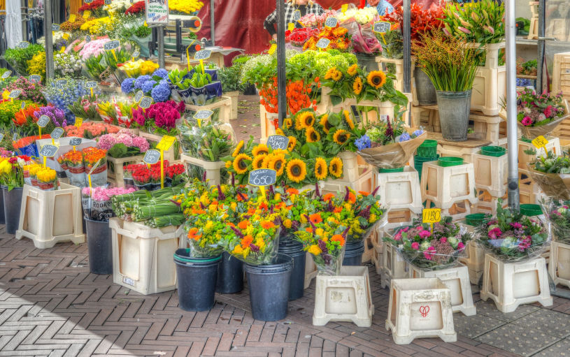 Mostra Mercato Regionale Vigoflor - apertura