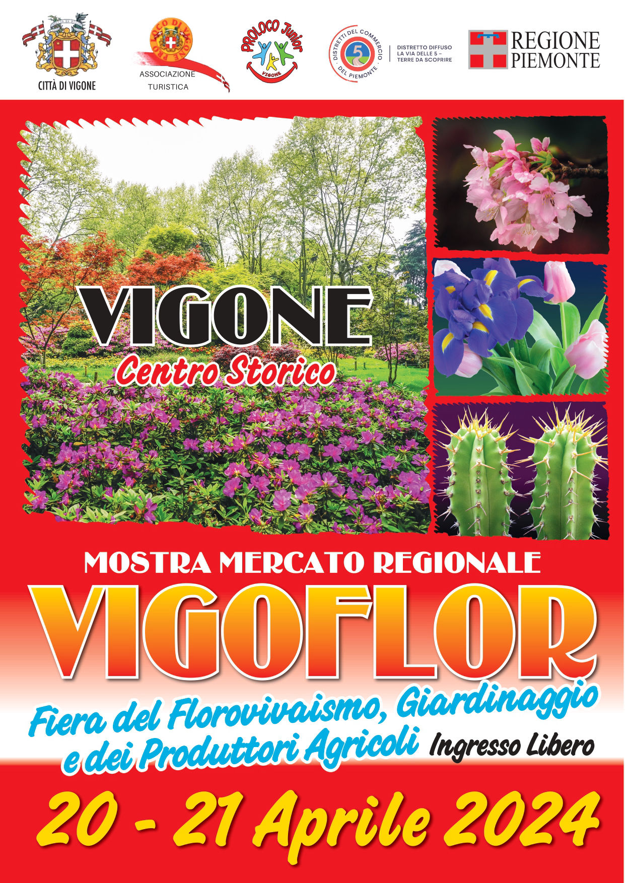 Vigoflor 2024