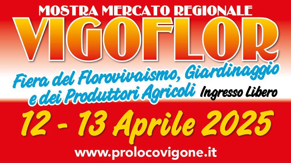 Vigoflor 2025