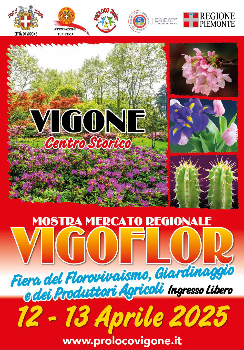 Vigoflor 2025